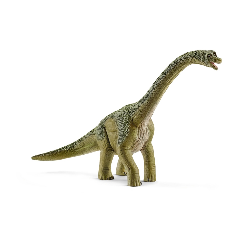 [4055744011603] Brachiosaurus