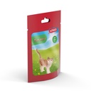Katze