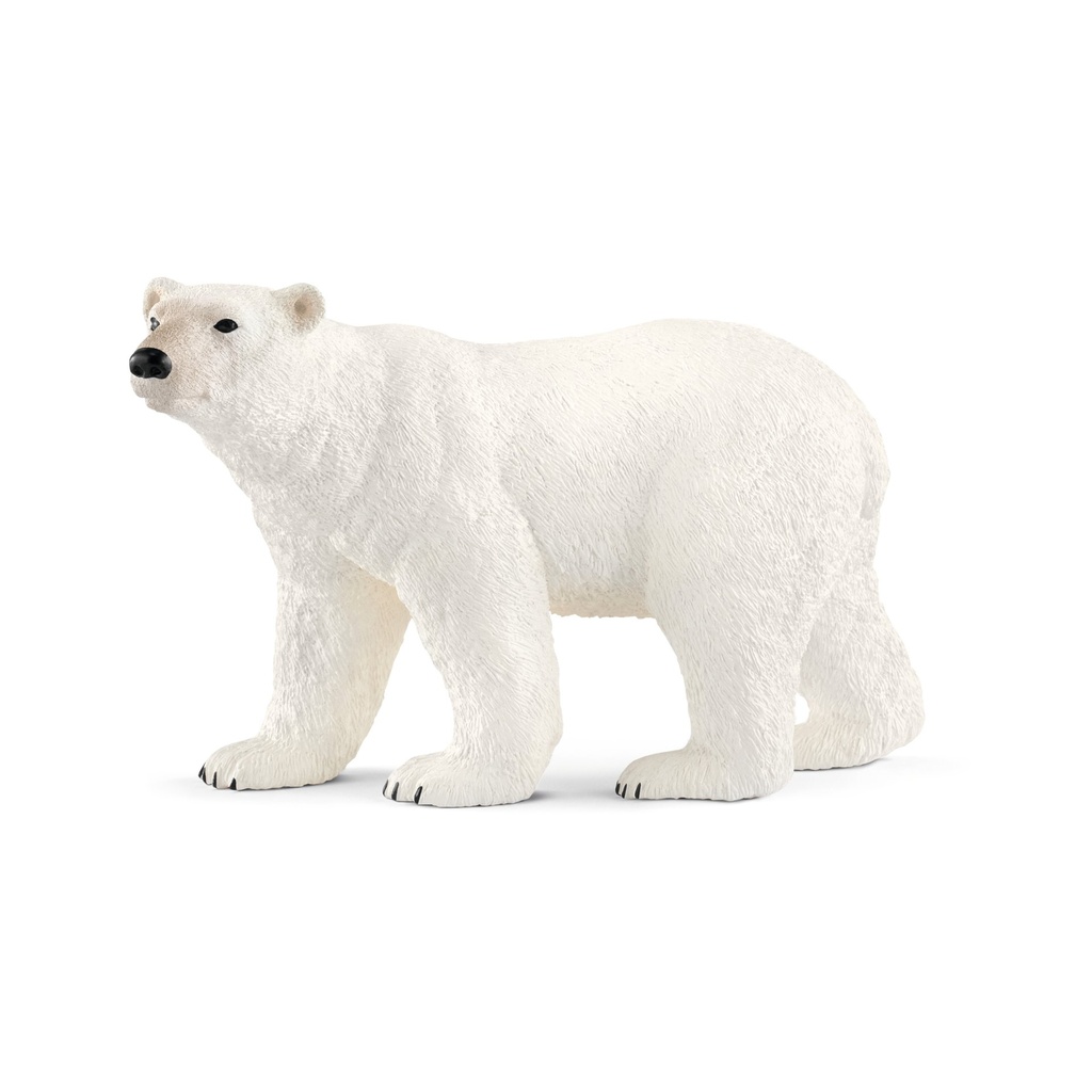 [4055744019777] Eisbär