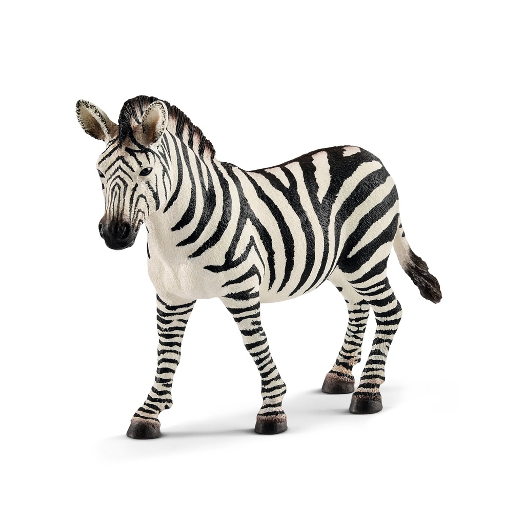 [4055744020780] Zebra Stute