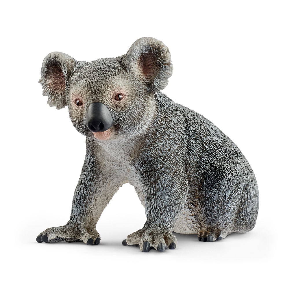 [4055744020834] Koala