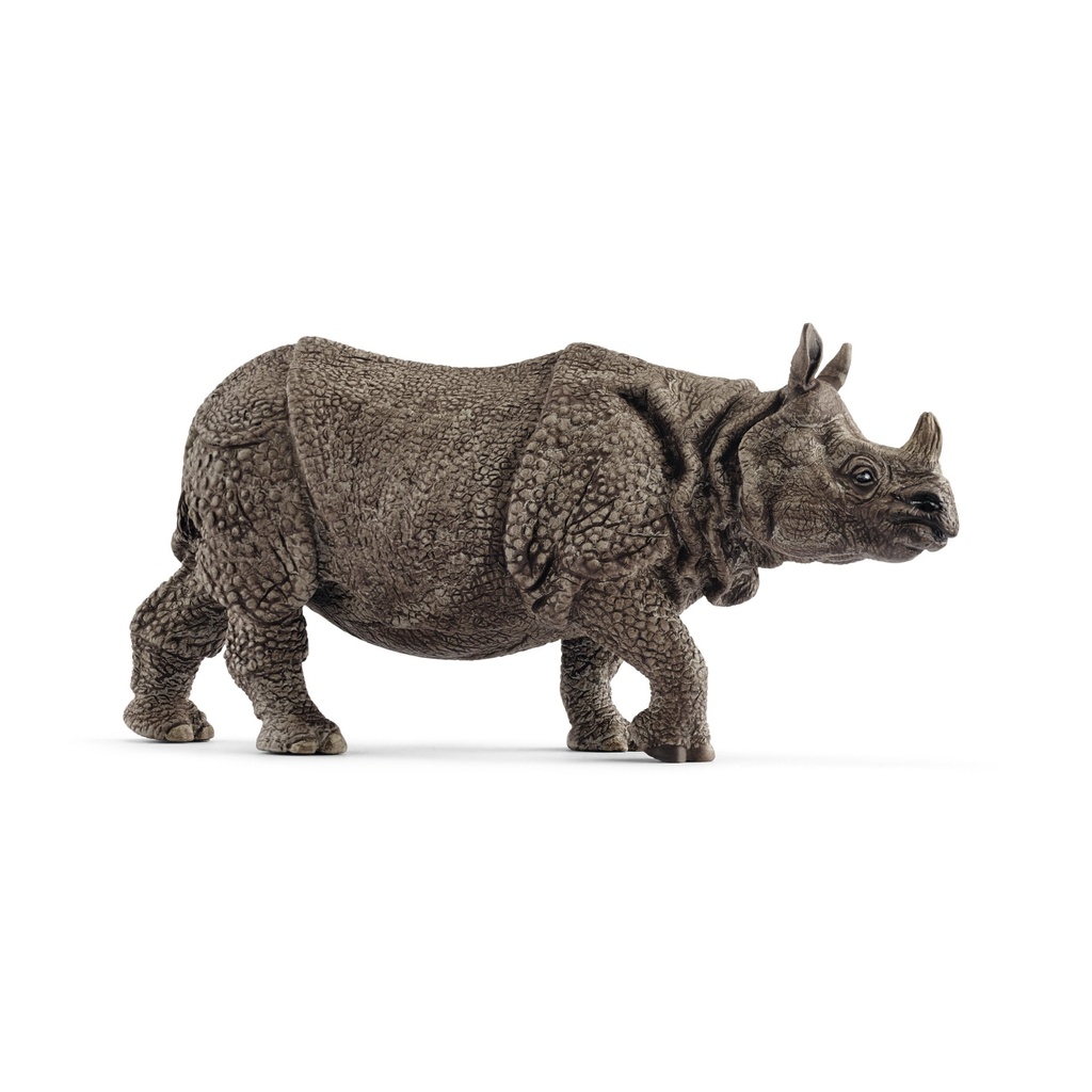 Panzernashorn (Auslauf)