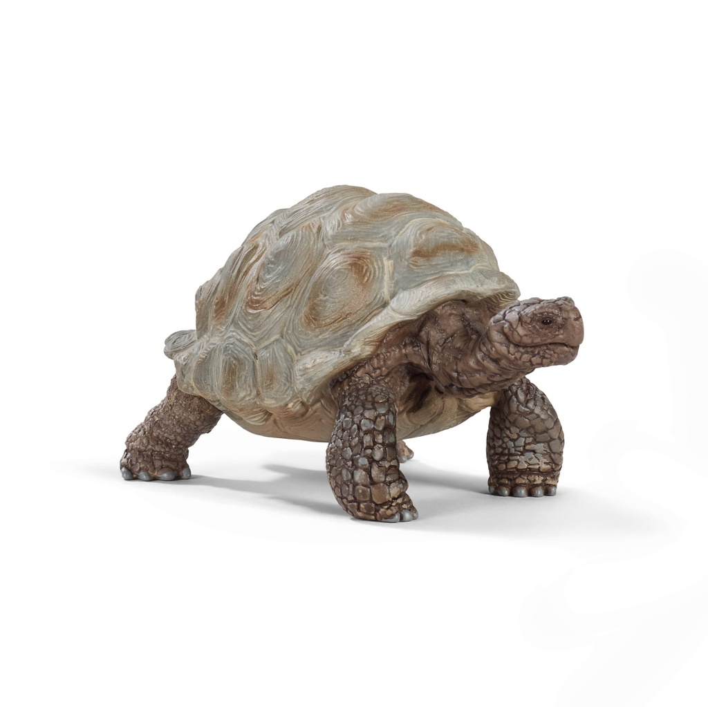 [4055744033667] Riesenschildkröte