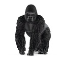 Gorilla Männchen
