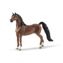 American Saddlebred Wallach (Auslauf)