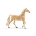 American Saddlebred Stute