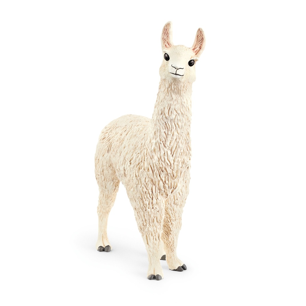 [4059433142210] Lama