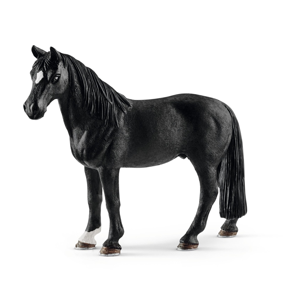Tennessee Walker Wallach (Auslauf)