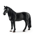 Tennessee Walker Wallach (Auslauf)