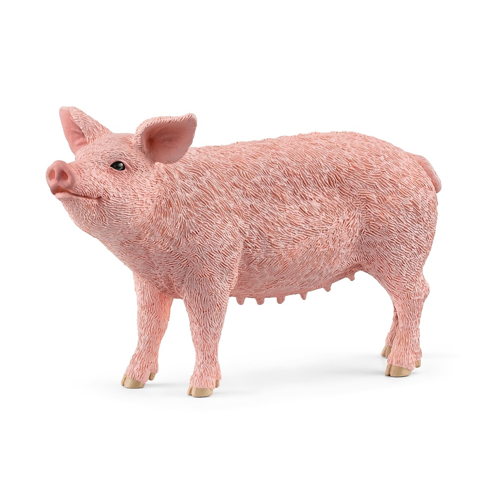[4059433358260] Schwein