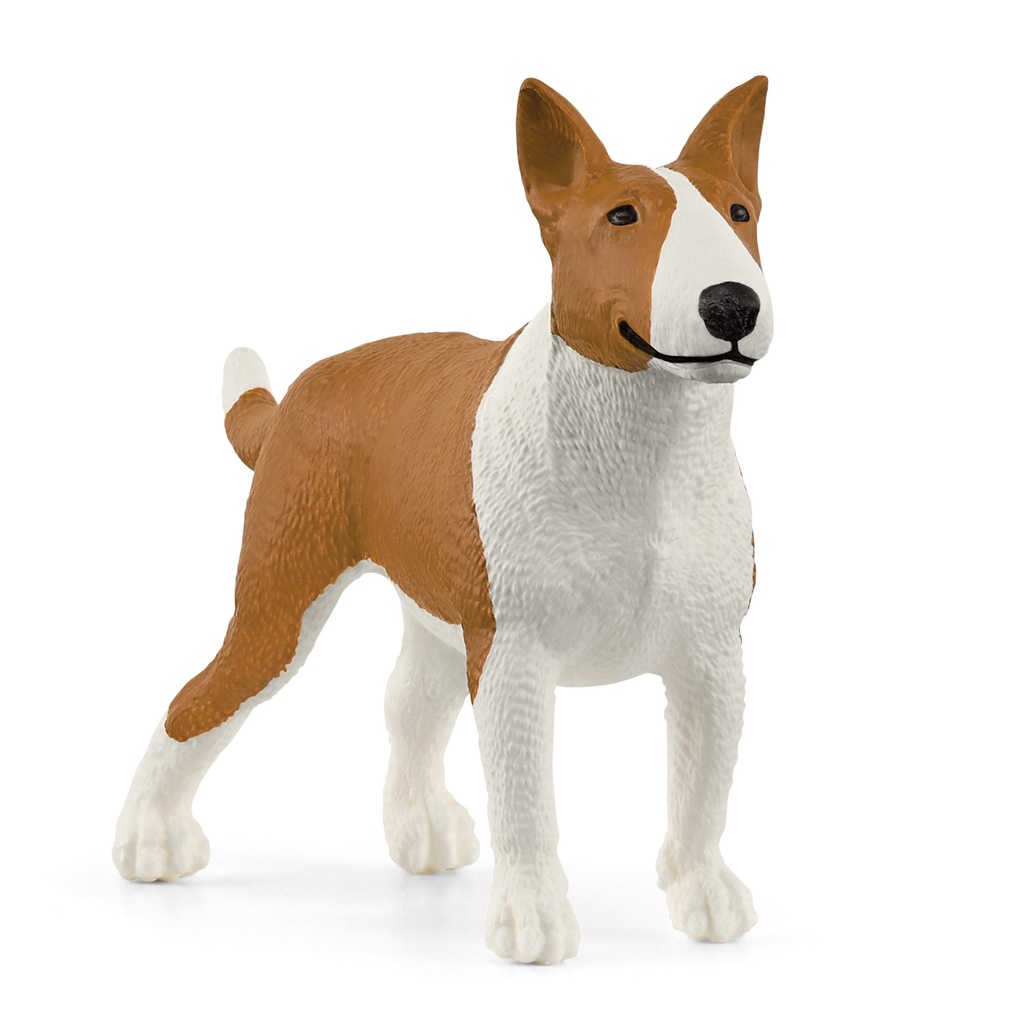 Bullterrier (Auslauf)