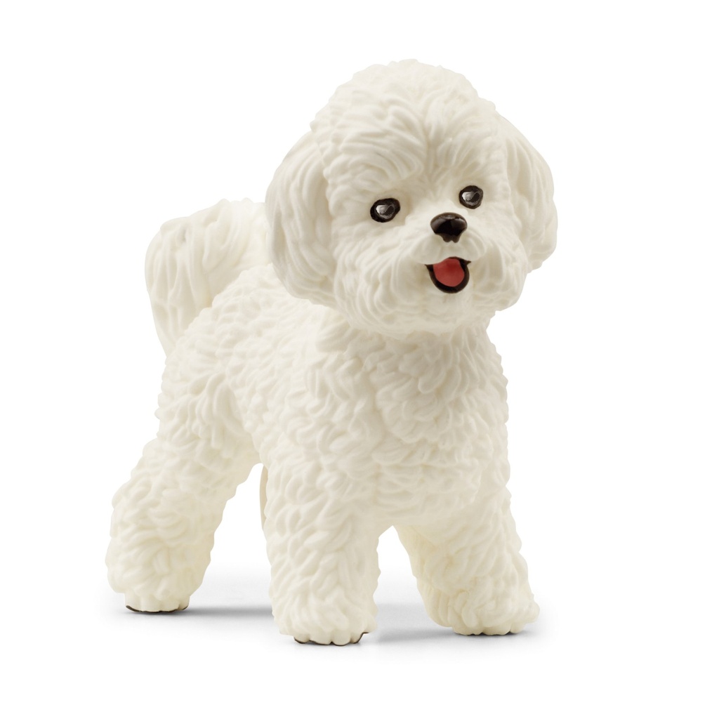 [4059433527611] Bichon Frisé