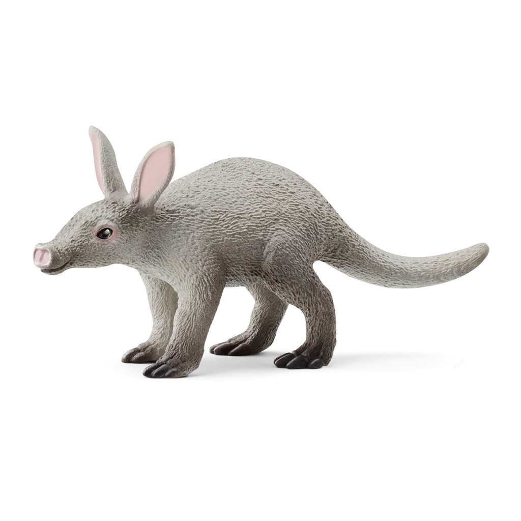 Erdferkel (Auslauf)