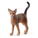 Abessinierkatze (Auslauf)