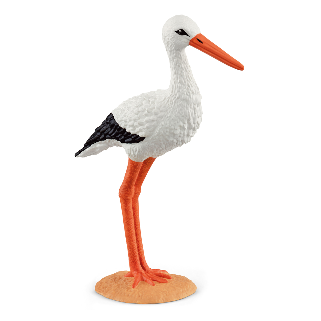 Storch (Auslauf)