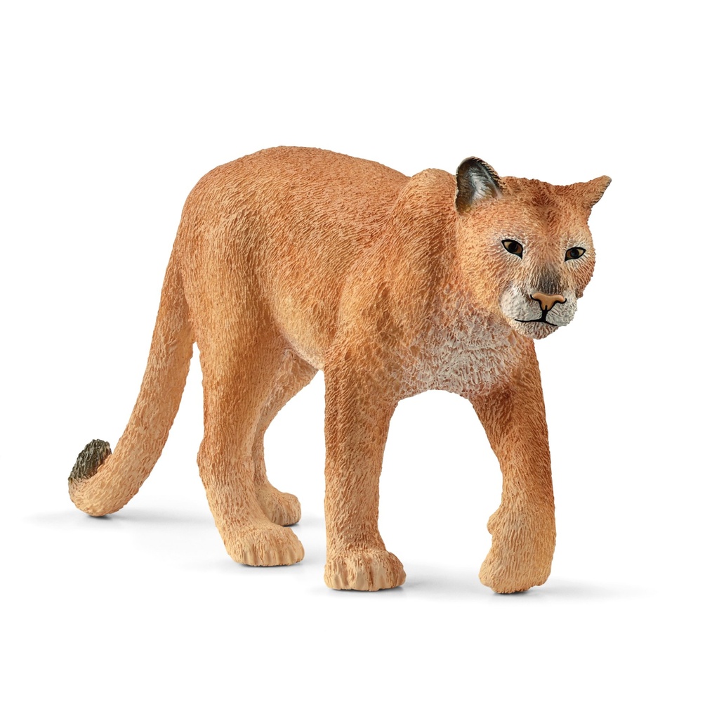 Puma (Auslauf)