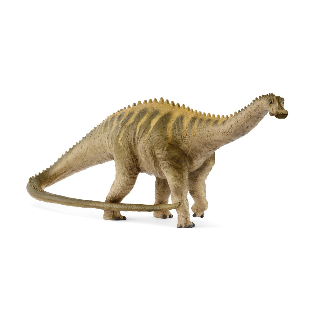 [4059433760049] Diplodocus