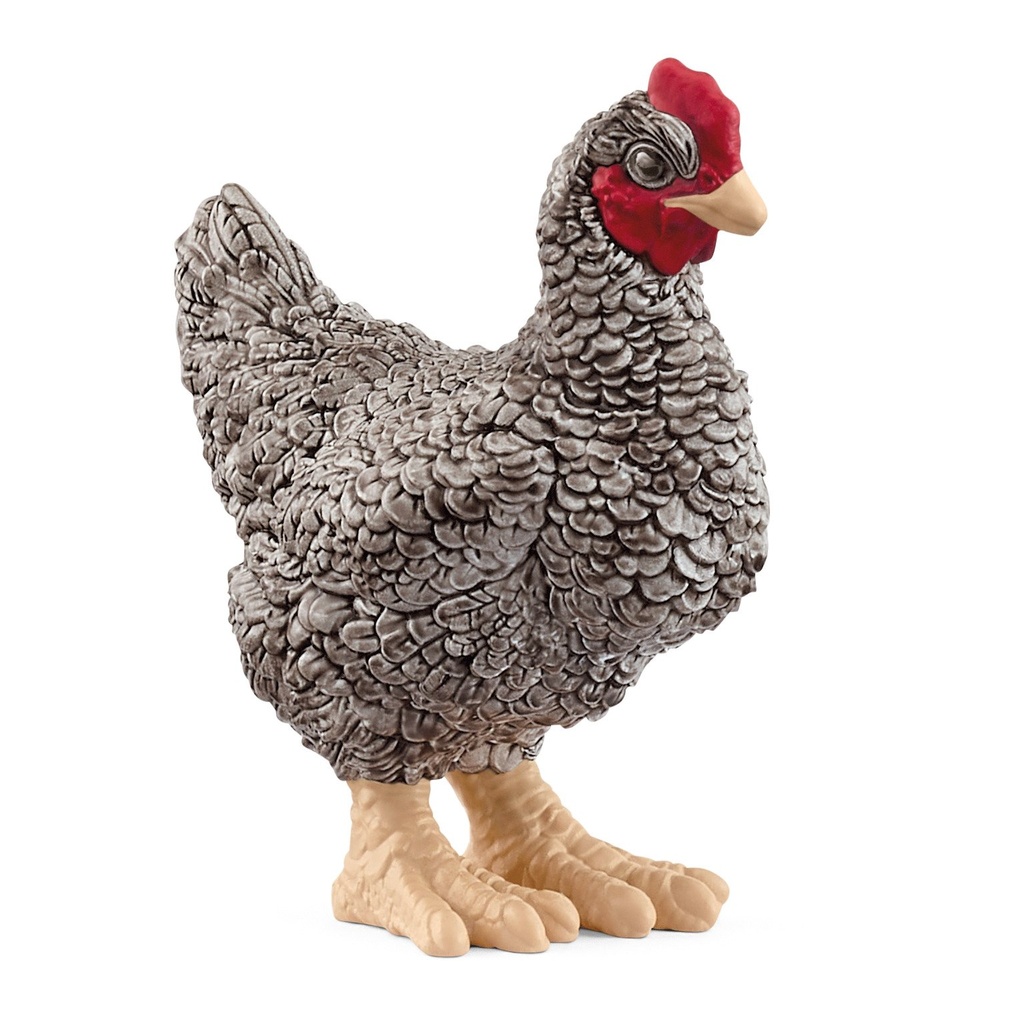 [4059433761718] Plymouth Rock Huhn