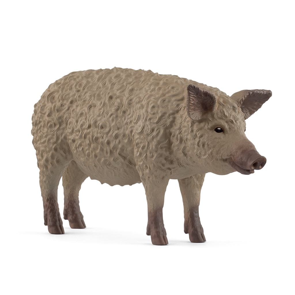[4059433762227] Wollschwein