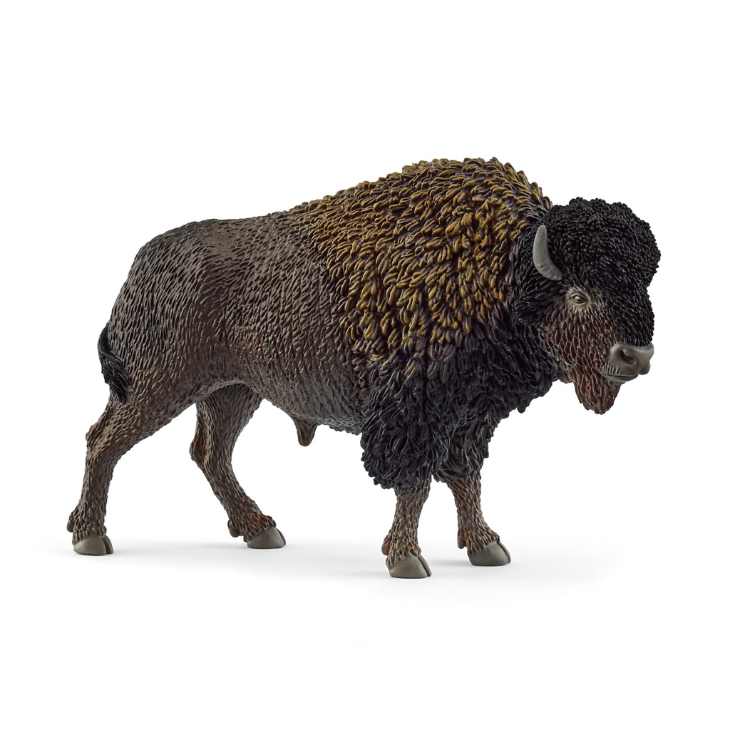 [4059433762265] Bison