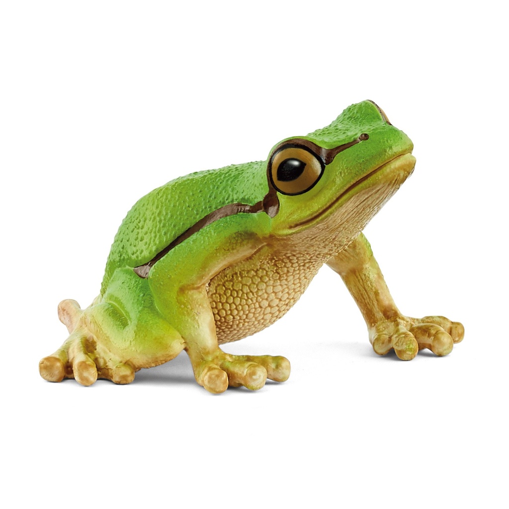 [4059433762302] Europäischer Laubfrosch