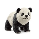 Großer Panda Junges