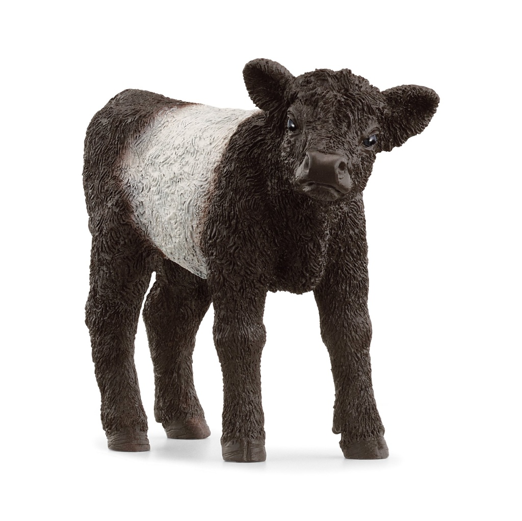 [4059433789323] Galloway Kalb