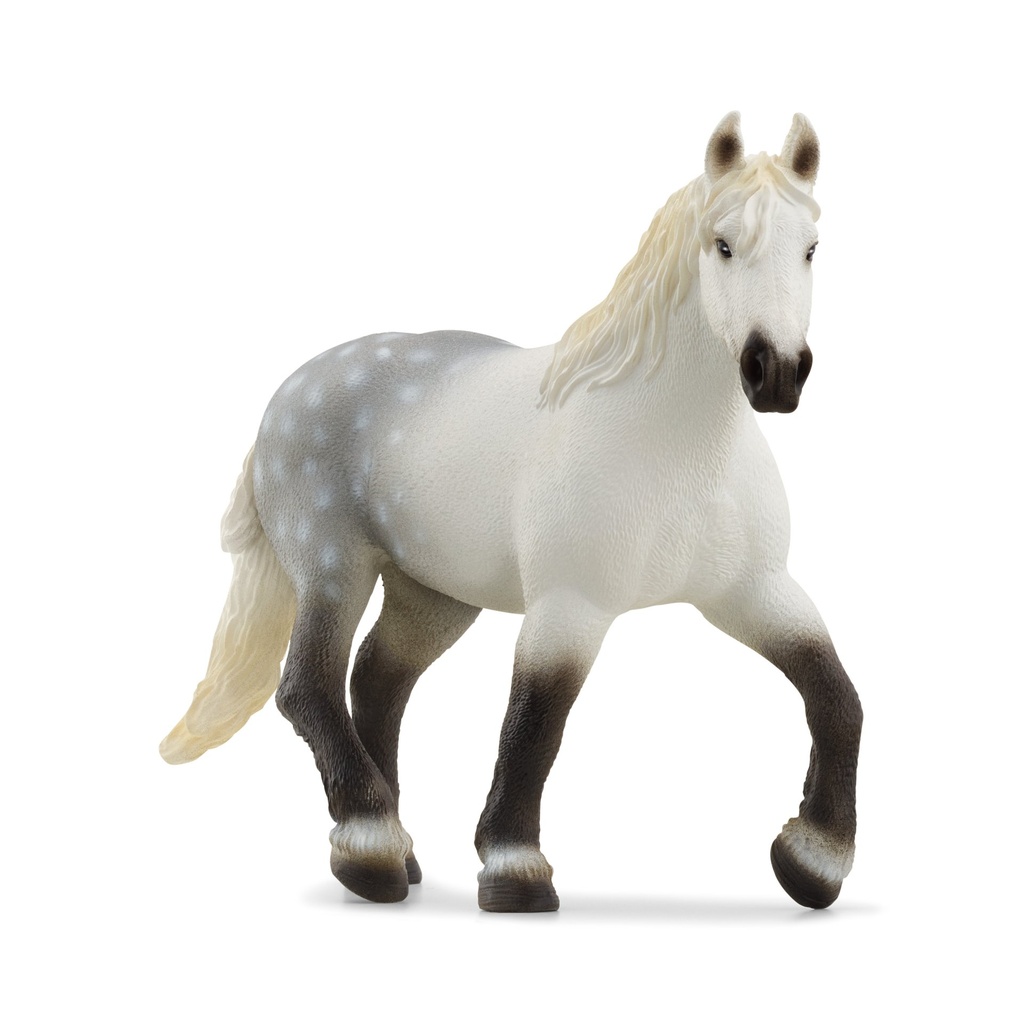 [4059433789347] Percheron Stute