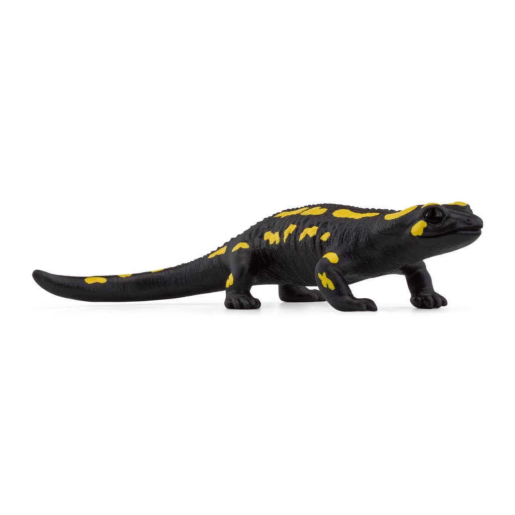 [4059433789446] Feuersalamander