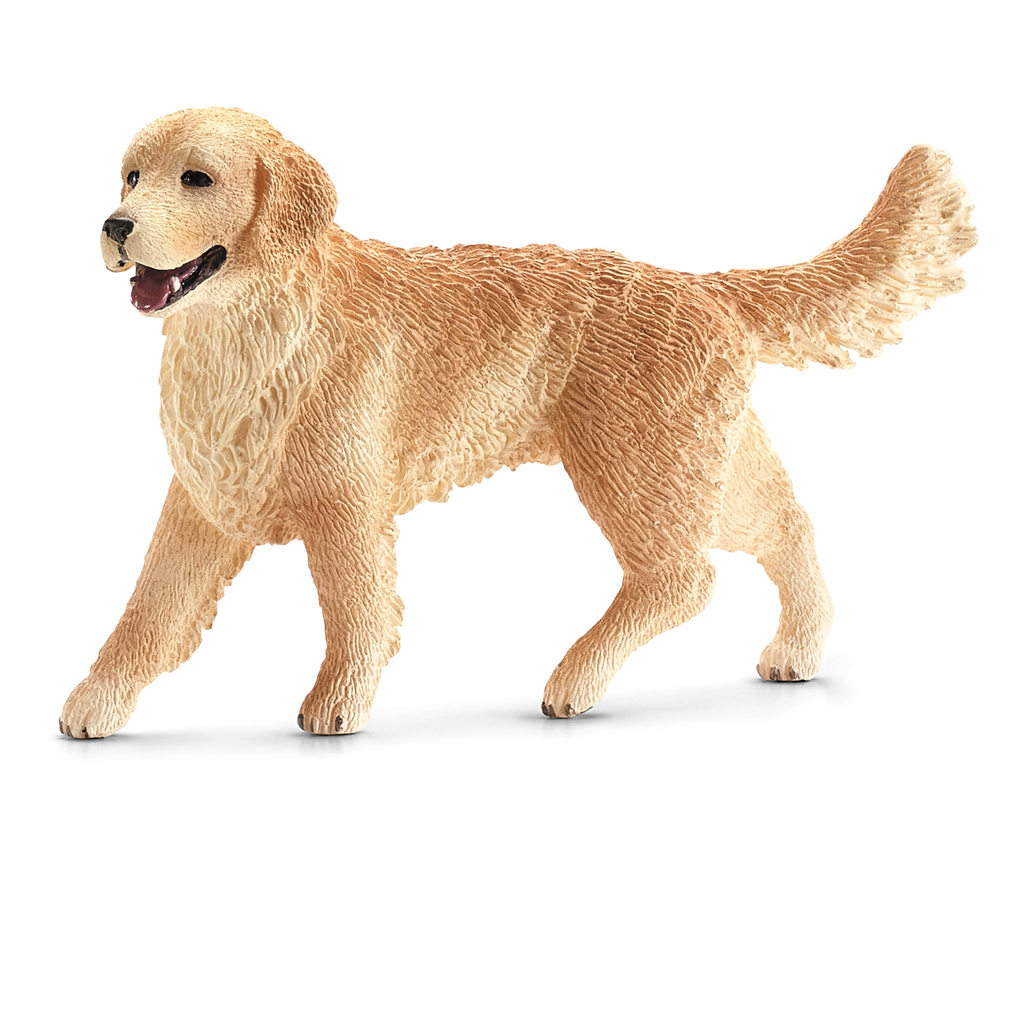 [4059433811994] Golden Retriever Hündin