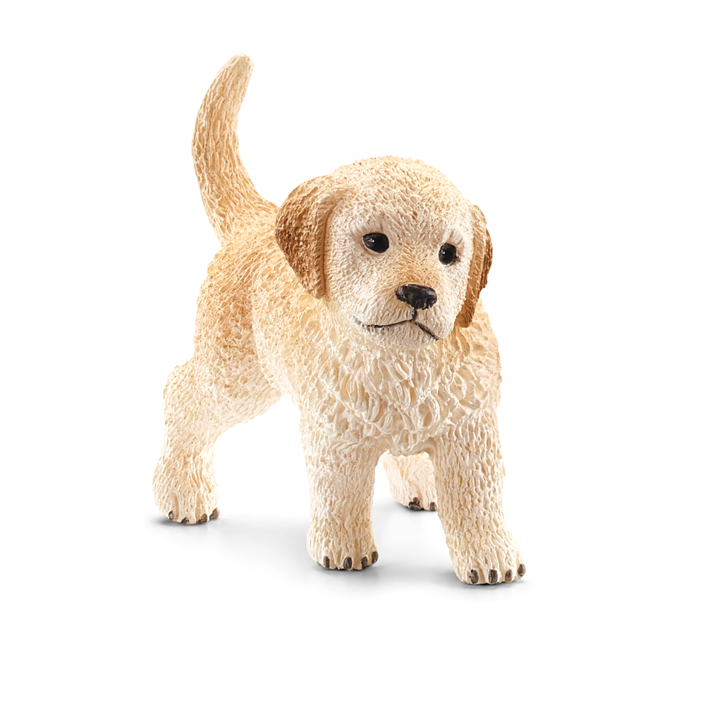 [4059433812007] Golden Retriever Welpe