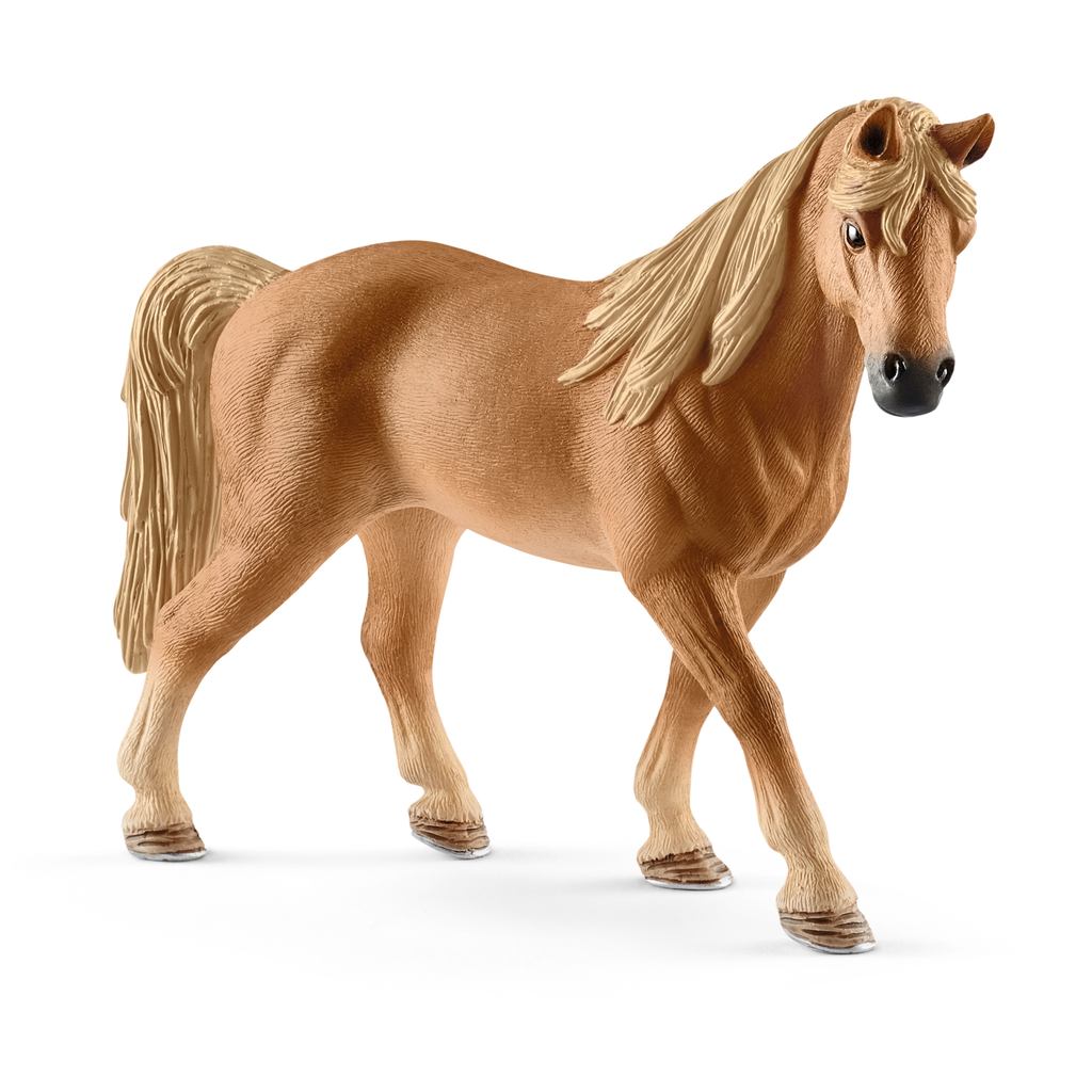 Tennessee Walker Stute (Auslauf)