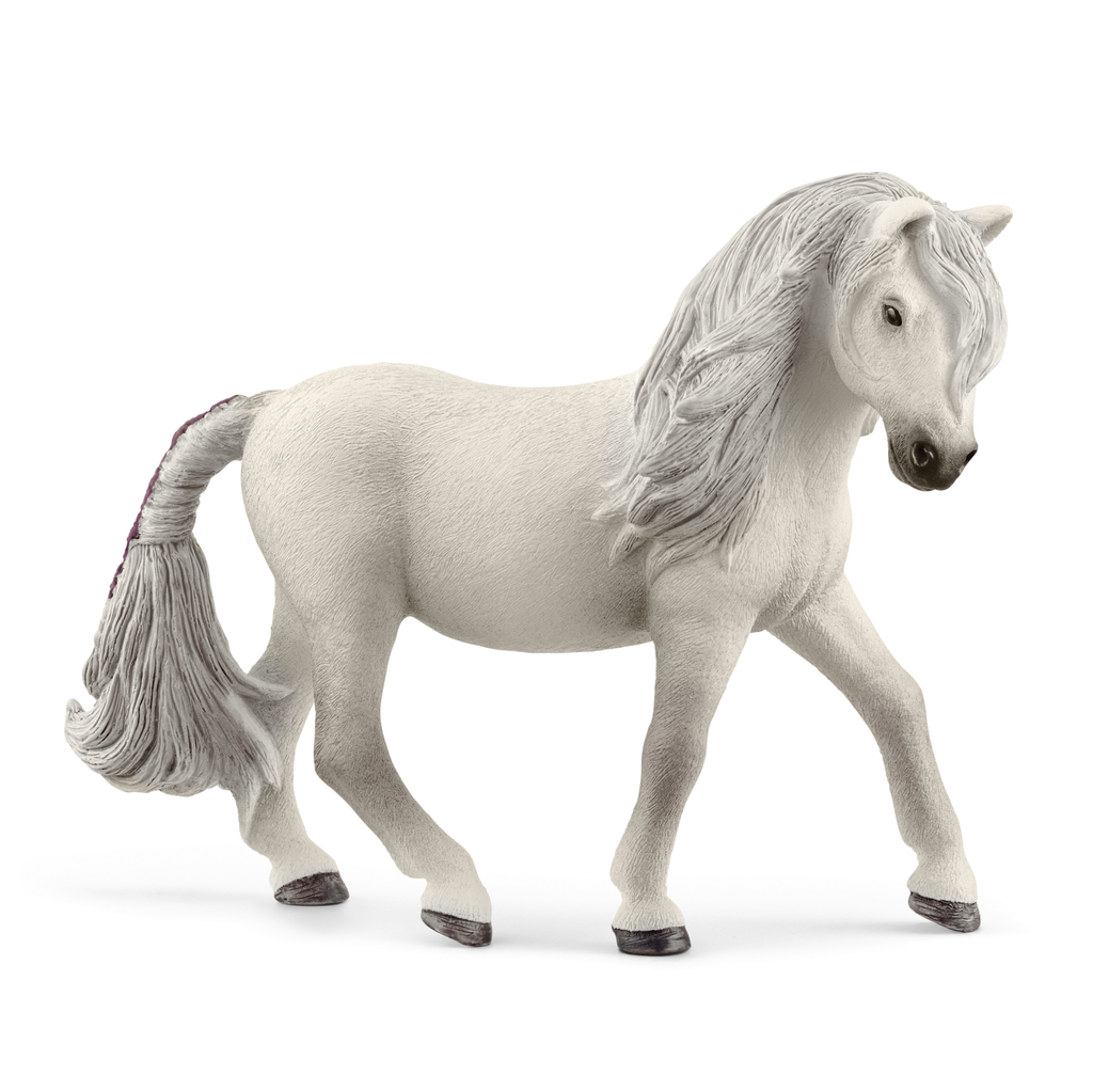 Island Pony Stute (Auslauf)