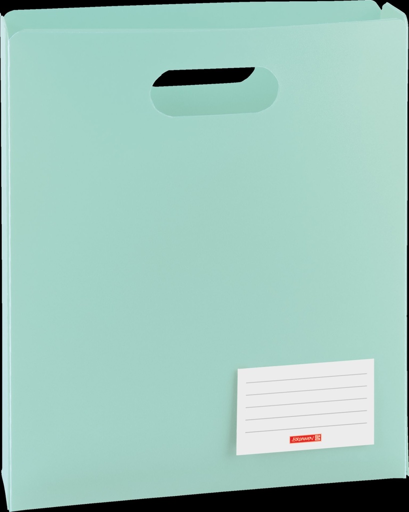 [4061947132205] Heftbox A4 offen mint