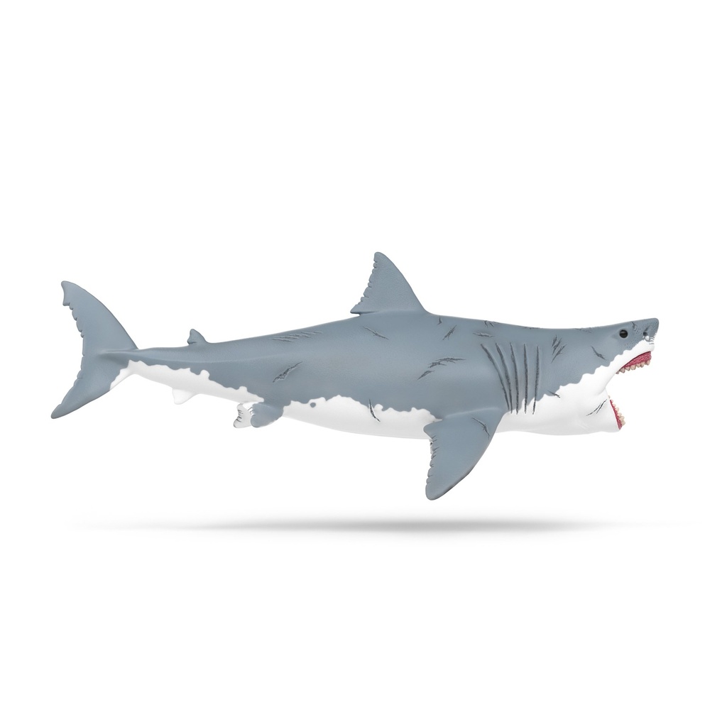 [4069111178592] Megalodon