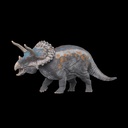 Triceratops