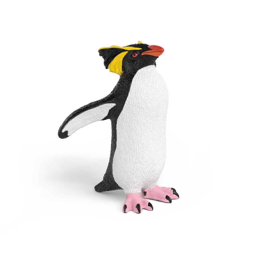 [4069111302638] Felsenpinguin