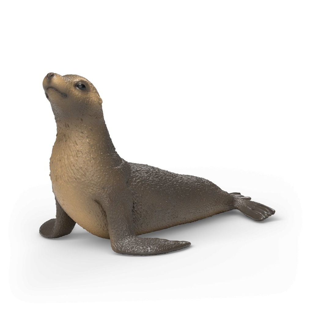 [4069111303727] Seelöwe