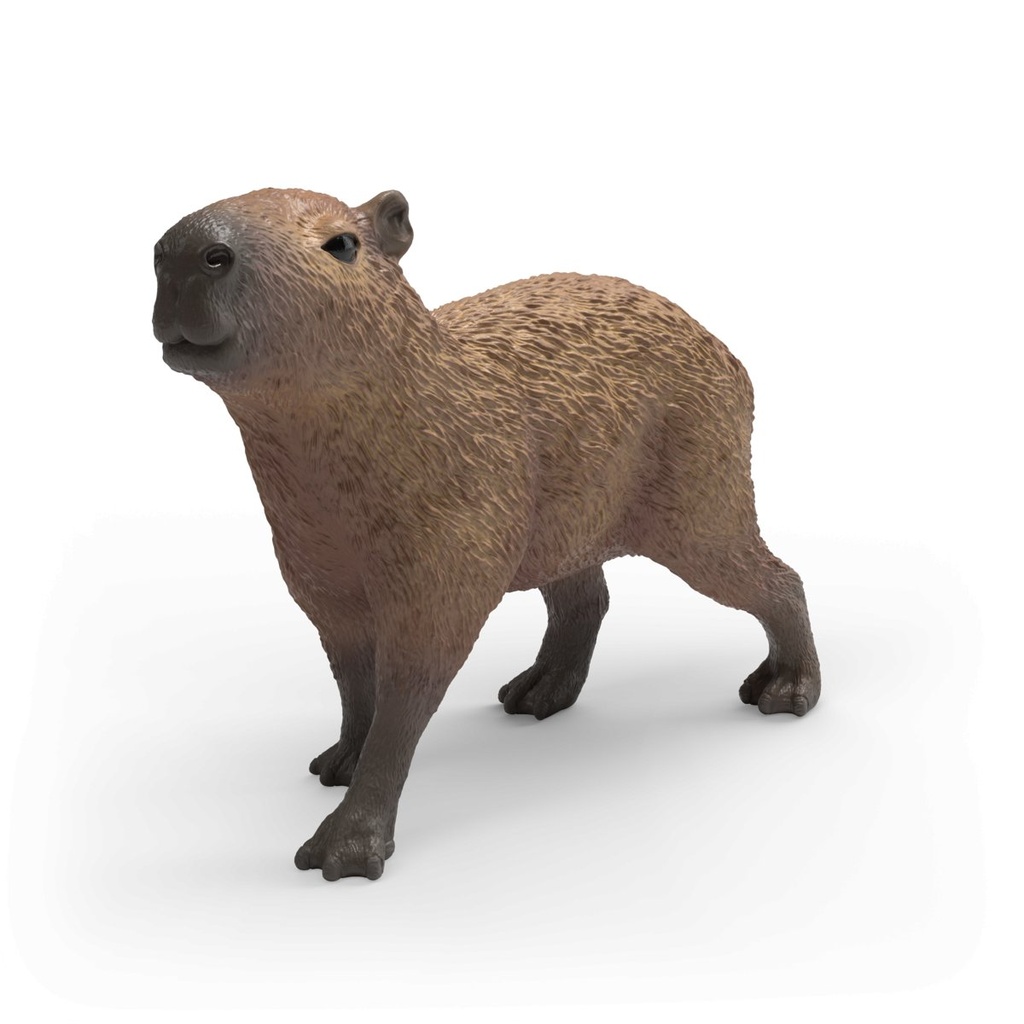 [4069111305929] Capybara