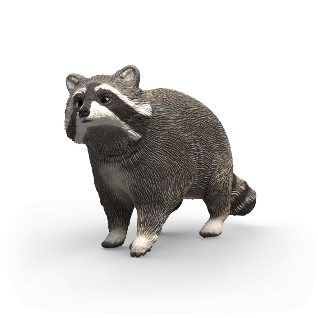 [4069111310183] Waschbär