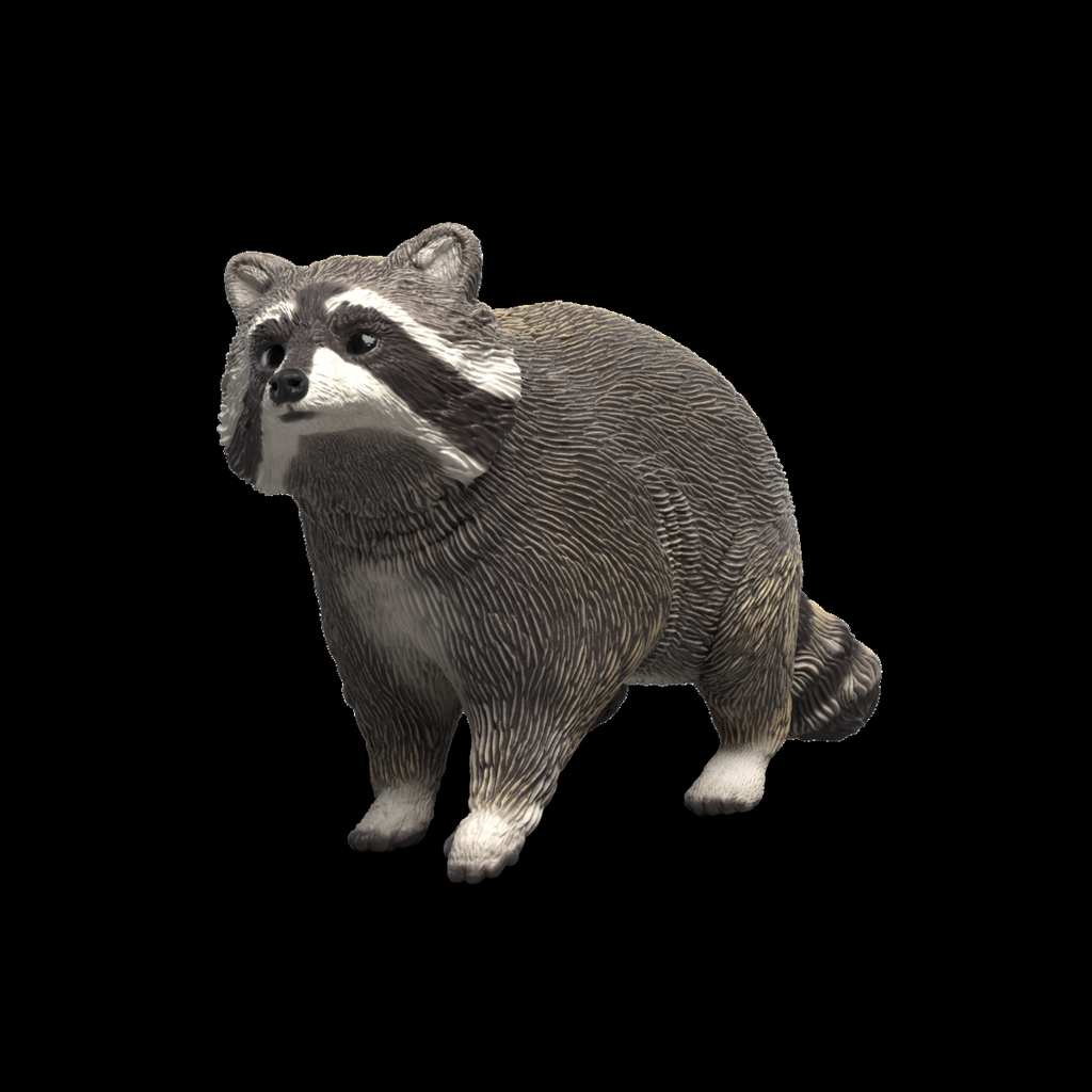 Waschbär