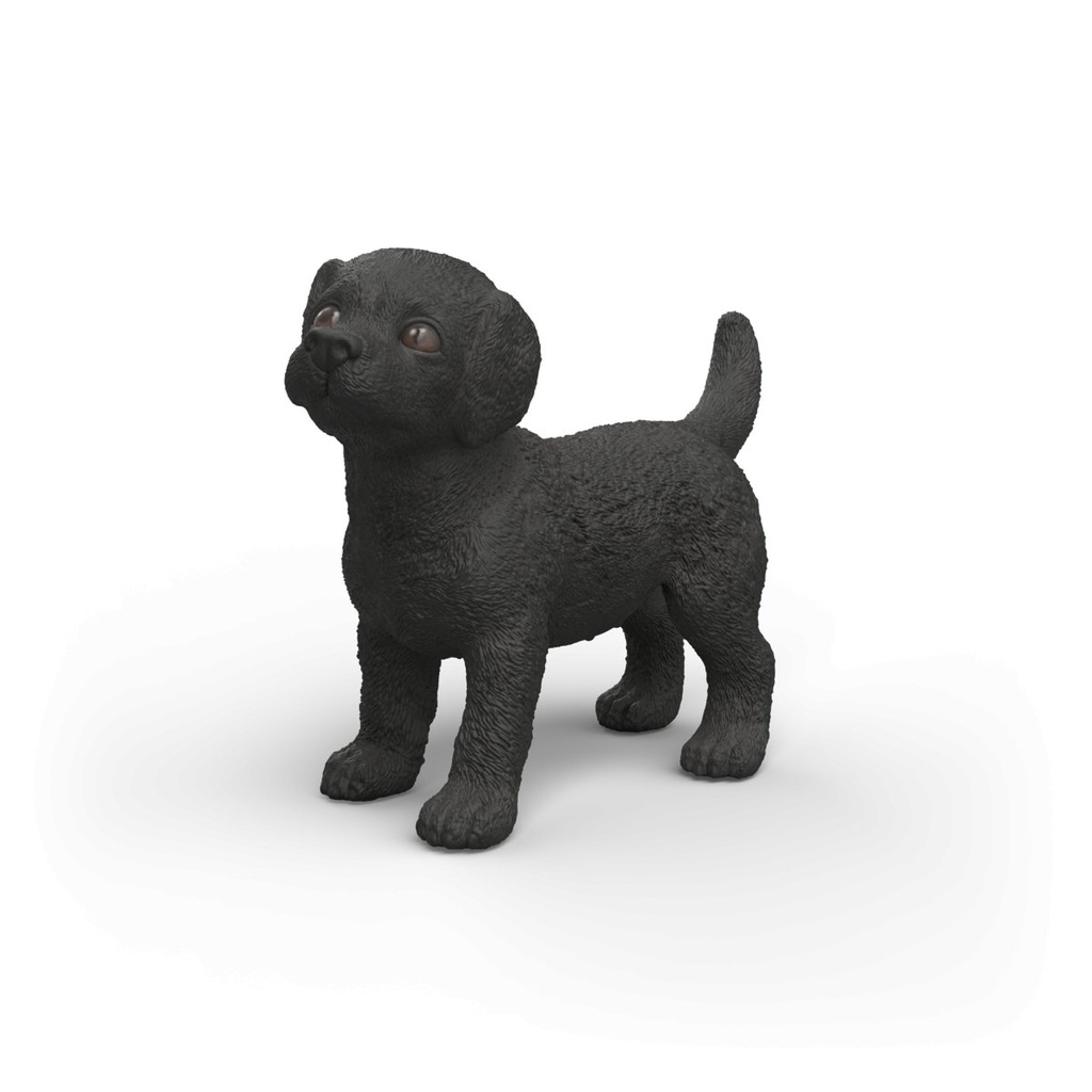 [4069111315256] Schwarzer Labrador Retriever Welpe
