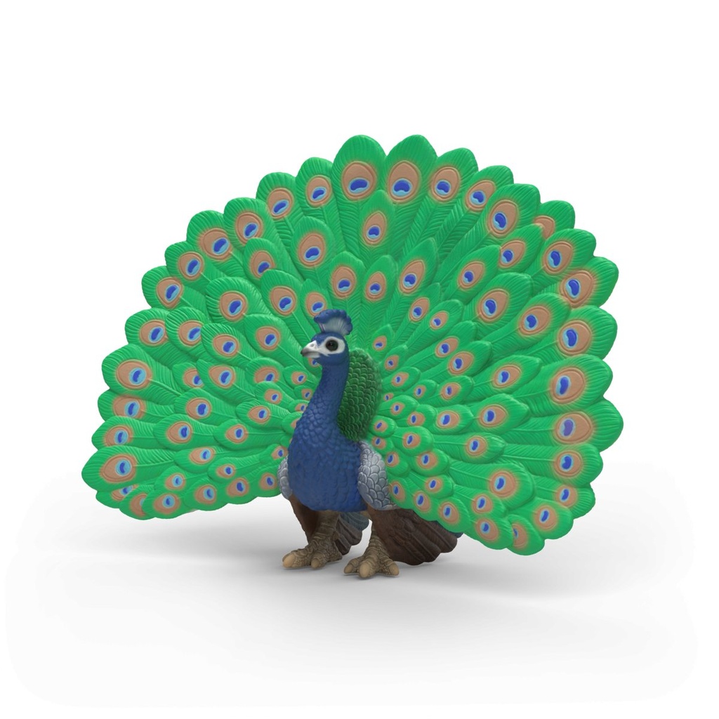 [4069111337739] Pfau