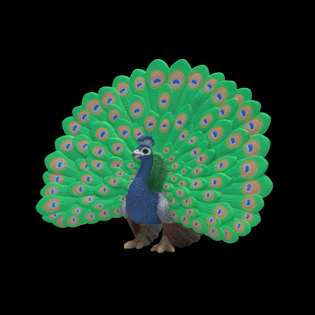 Pfau