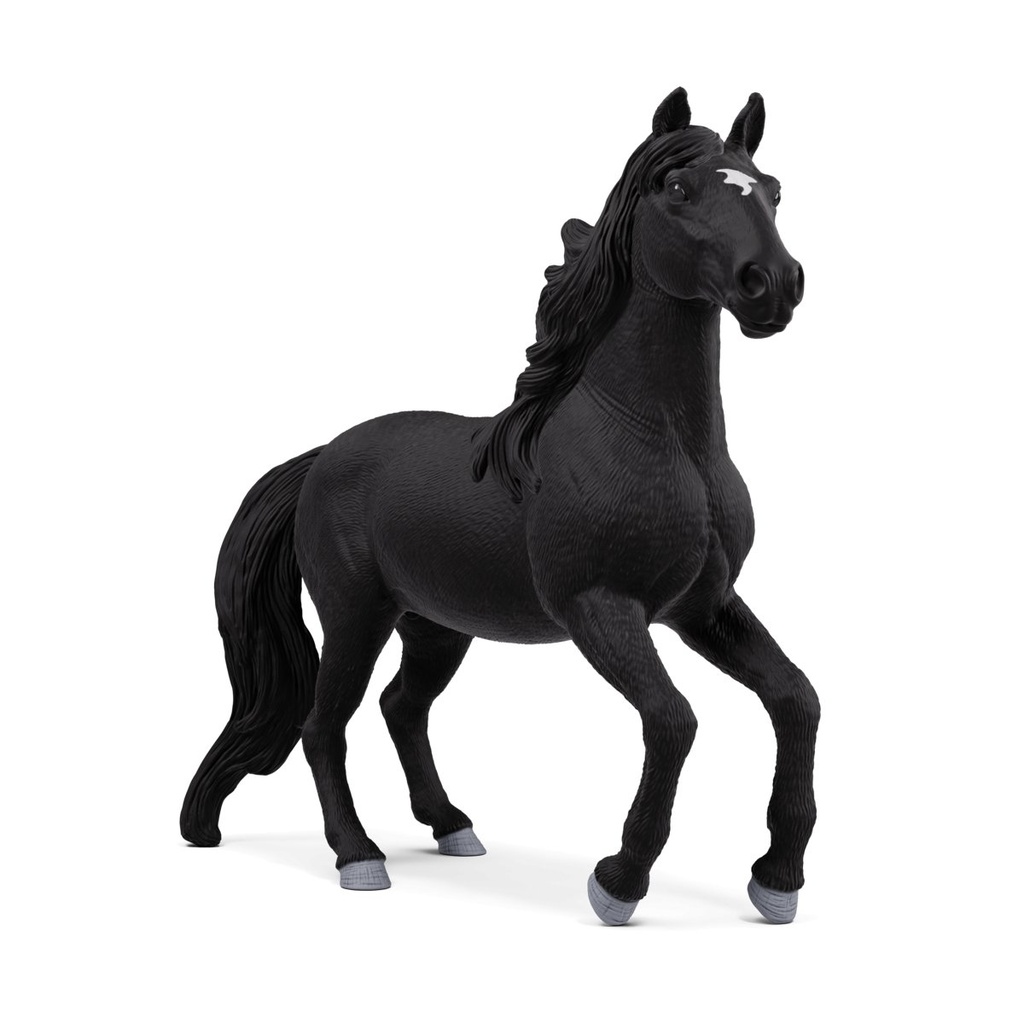 Lusitano Hengst