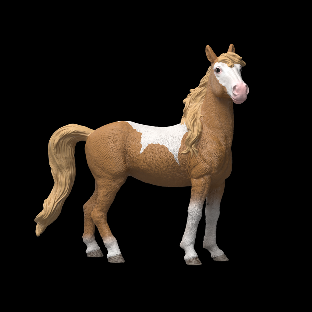 Mustang Stute