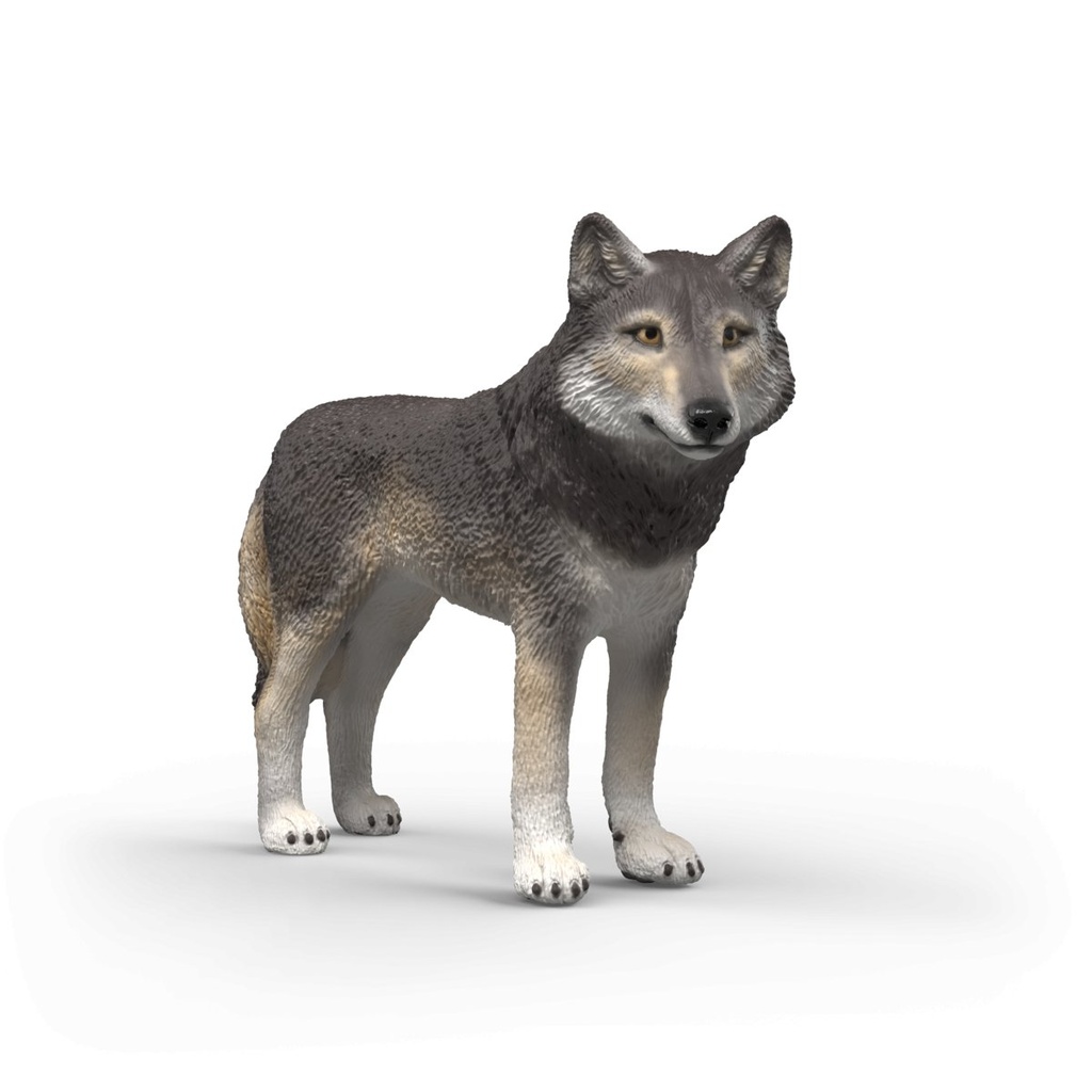 [4069111445212] Amerikanischer Wolf
