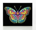 Diamond Painting Neon Schmetterling