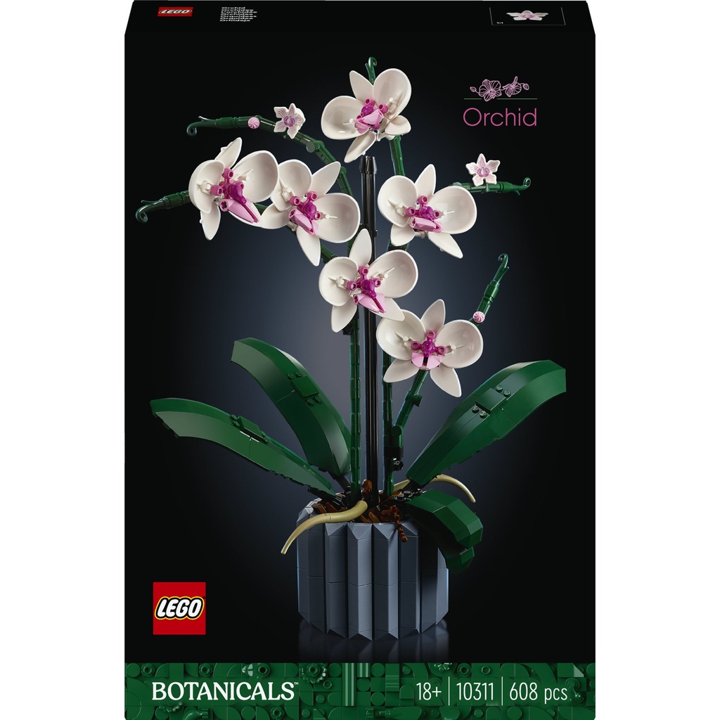 [5702017224336] Orchidee