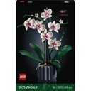 Orchidee